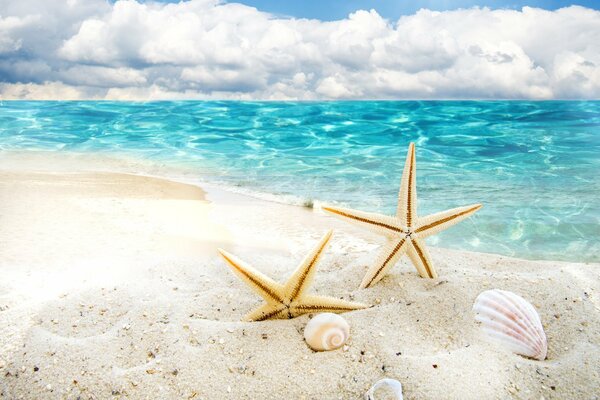 Und lieben Sie das Meer, wie ich es liebe?