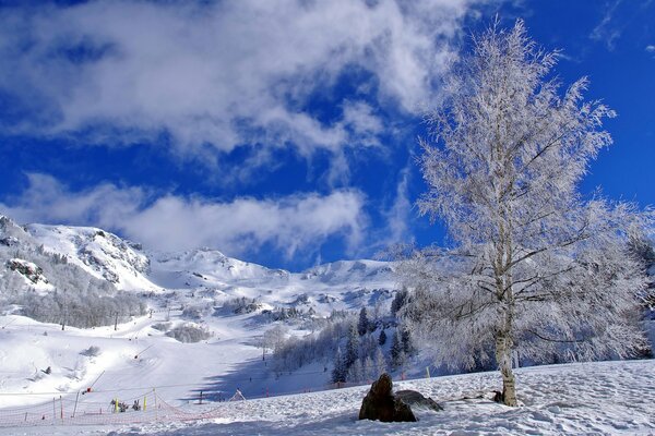 Blauer Himmel im Winter