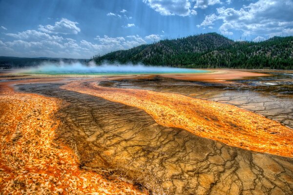 Estados Unidos, Yellowstone par, hermosa vista, bosque y montañas