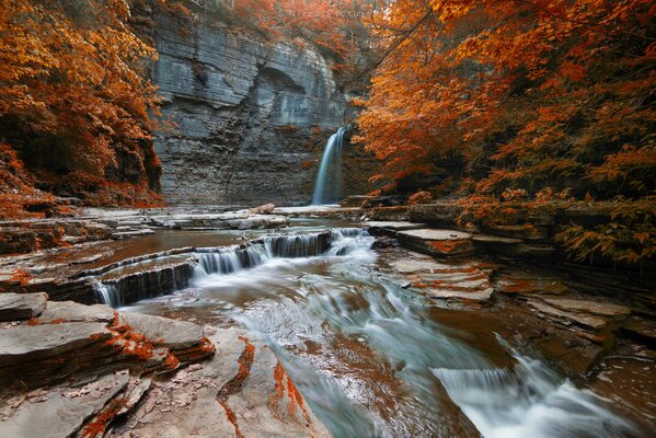 Schöner Wasserfall im Herbstwald