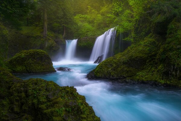 A magical waterfall in the middle of the forest in Colombia