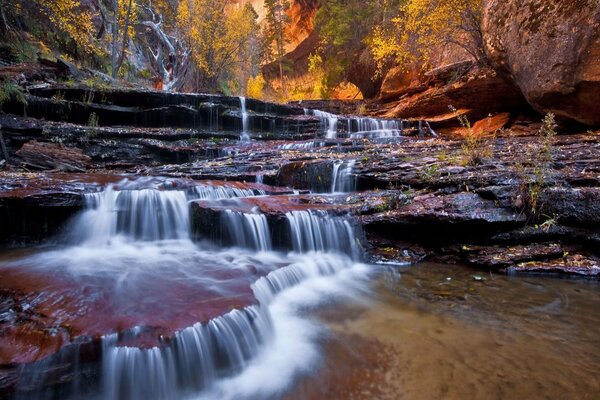 Petites cascades dans une belle forêt