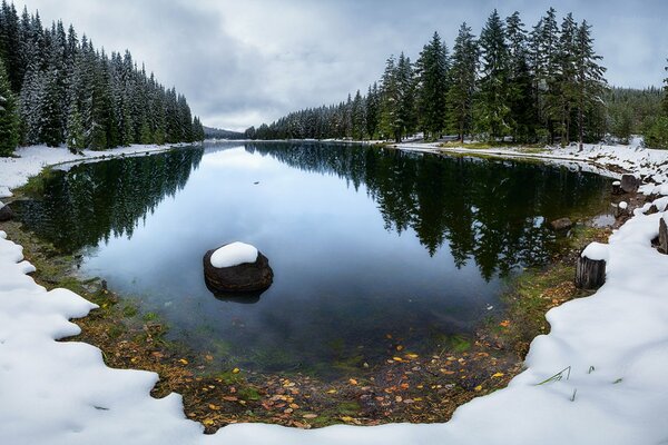 Wintersee im Wald