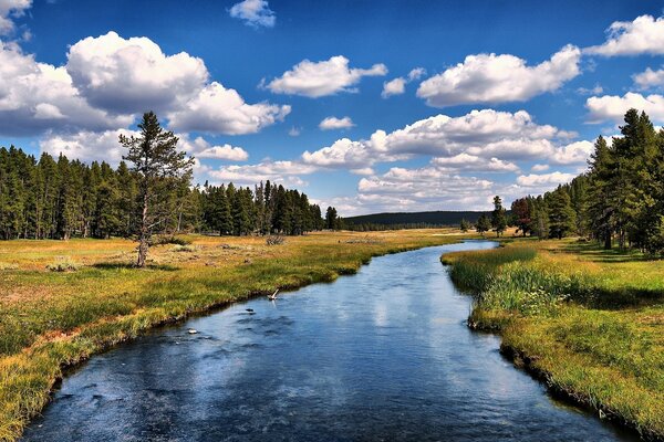 Beau paysage avec rivière bleue