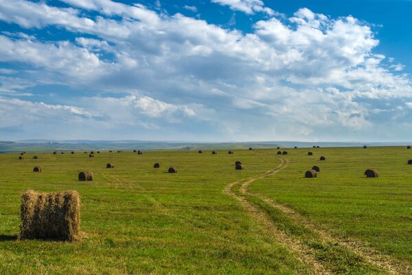 Steppe und Steppe umher, der Weg ist weit weg