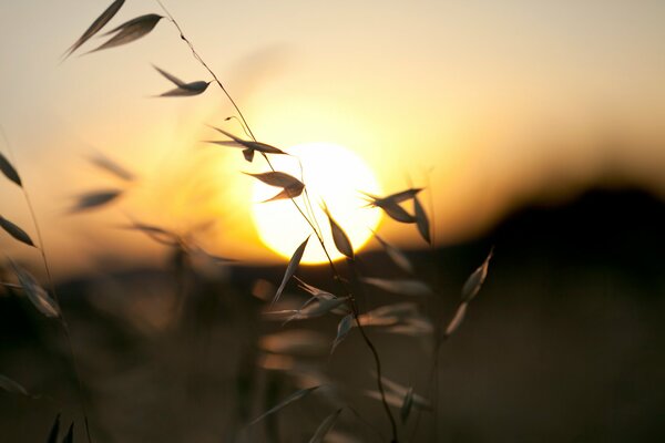 Puesta de sol con fondo borroso