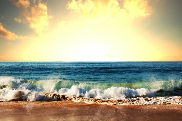 Green waves on a blue sea background