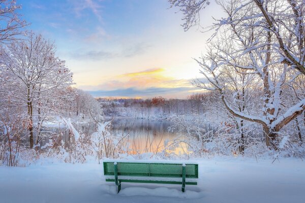 Eine Bank am Teich im Winter