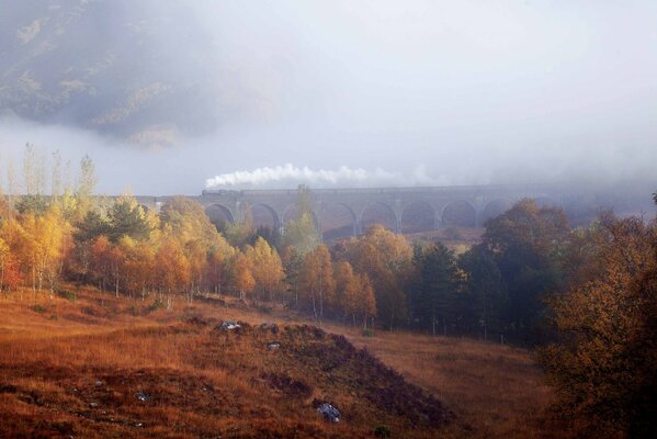 Pont dans la forêt d automne dans la brume