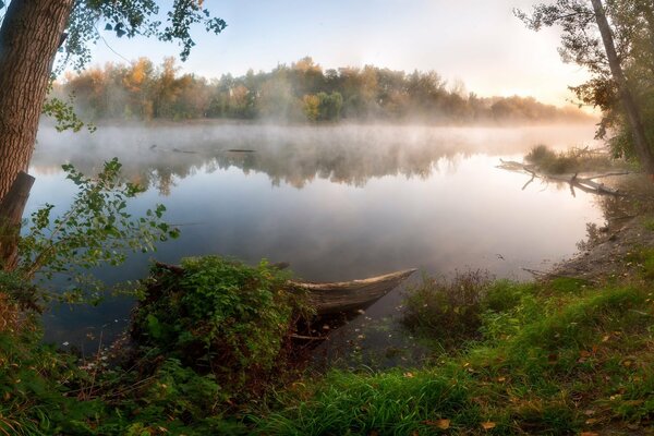Lago entre los árboles en la niebla