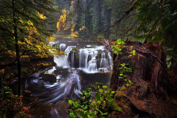 Lewis River in the USA