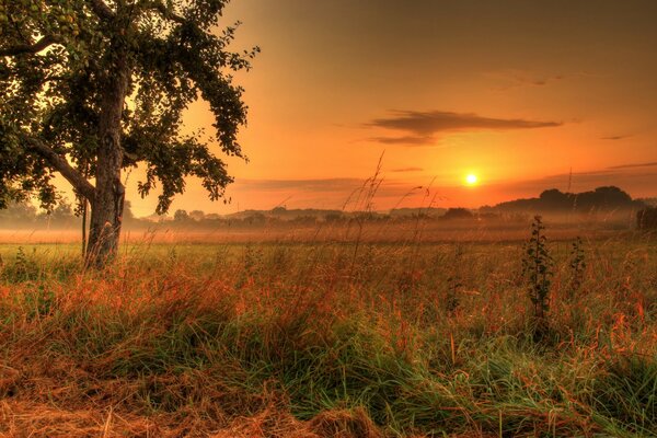 Tramonto soleggiato del cielo in Germania