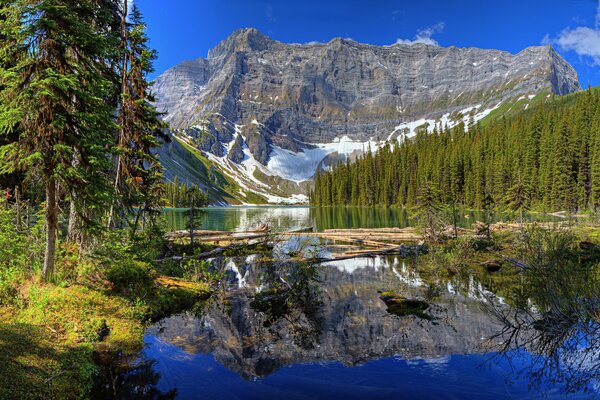 The river at the foot of the snow-capped mountains