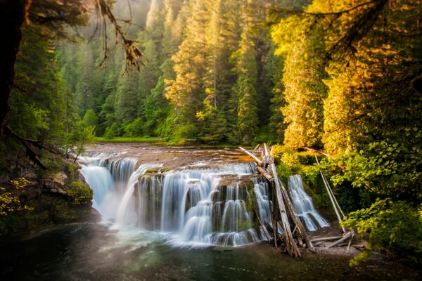 Waterfall in the autumn thicket of the forest