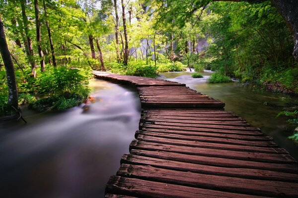 Ponte sul fiume nella natura