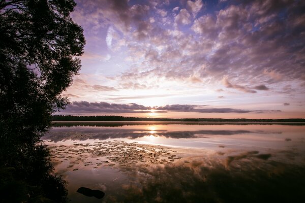 Amanecer en el lago del bosque