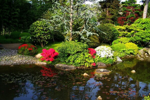 Étang d Albert-Caen - jardin japonais à Paris