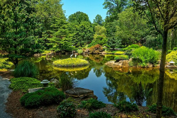 W USA jest park ze stawem o niesamowitym pięknie, jest dużo zieleni i wody