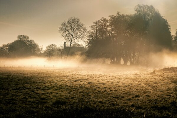 Brume matinale près de la maison
