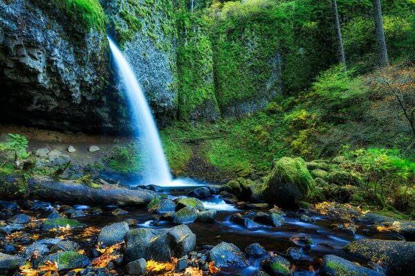 Waterfall in the forest on the background of autumn