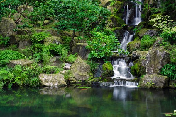 Piedras junto al agua en el bosque