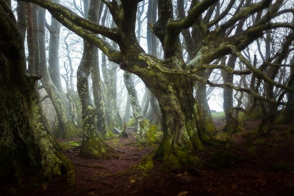 Paysage fantastique en France