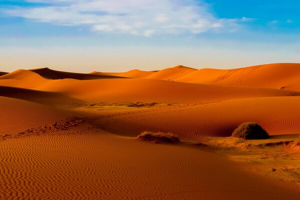 Sable rouge et pas de fin visible