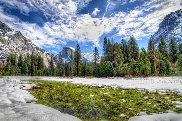 Bosque de invierno con vistas a la montaña