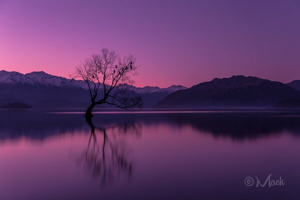 Península de Otago en Nueva Zelanda al atardecer