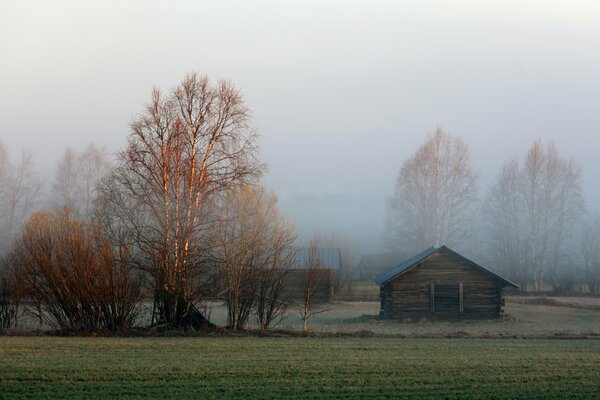 Prima mattina nebbiosa in una casa di legno