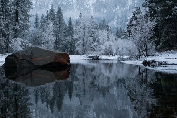 Reflet d une forêt enneigée en Californie