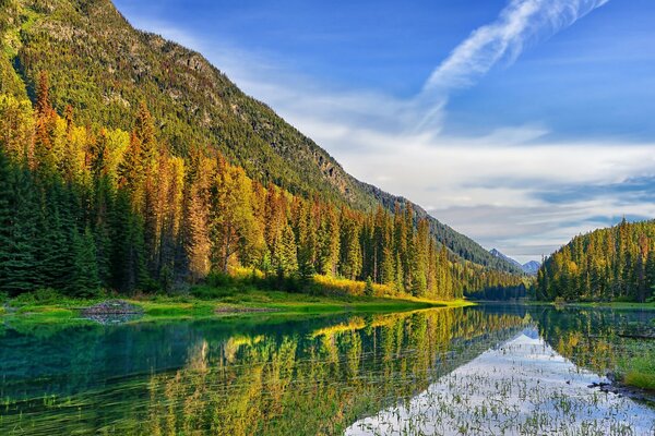 In estate tutto fiorisce e odora, la vita bolle e tutto respira e sente il cielo, le montagne, il lago, gli alberi lodano il creatore