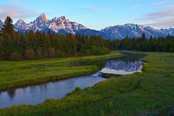 River on the background of green forest and snowy mountains