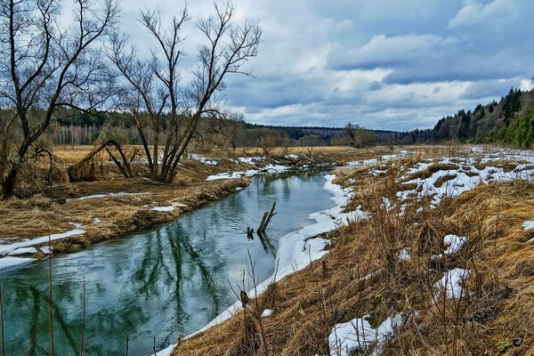 Foresta e fiume all inizio della primavera