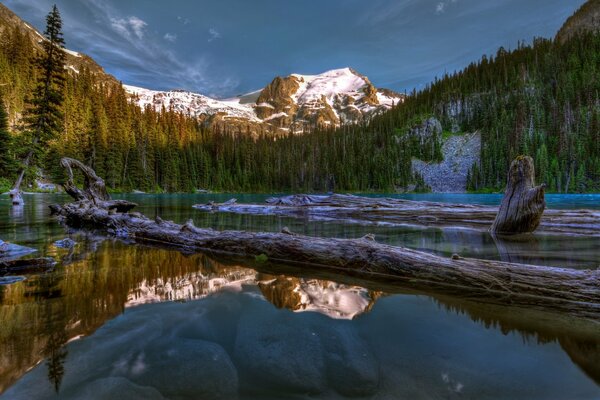 El bosque y las montañas se reflejan en el lago