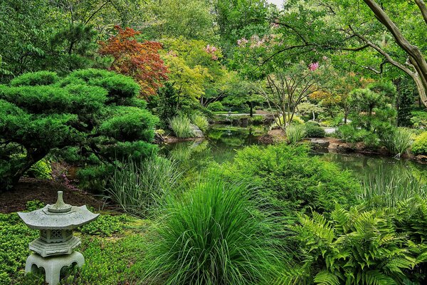 Imagen de un Jardín verde japonés con un estanque, arbustos en el Jardín