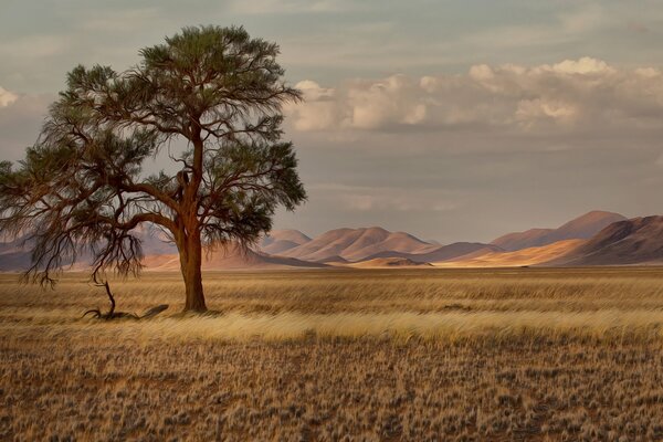 Namibias schöne Natur mit Blick auf die Berge