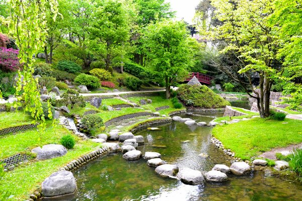 Jardín japonés. Puente rojo. Río con piedras. Paisaje