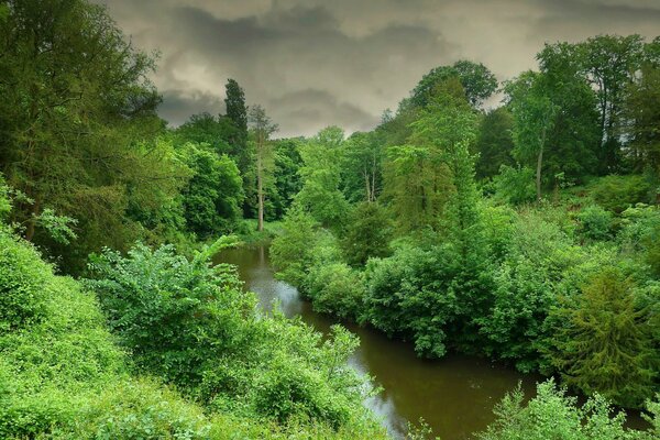 Nuages dans le ciel dans le paysage des arbres