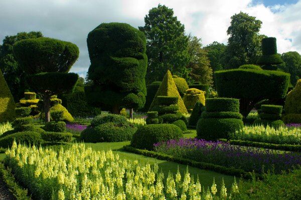 Giardino con alberi ricci Peek