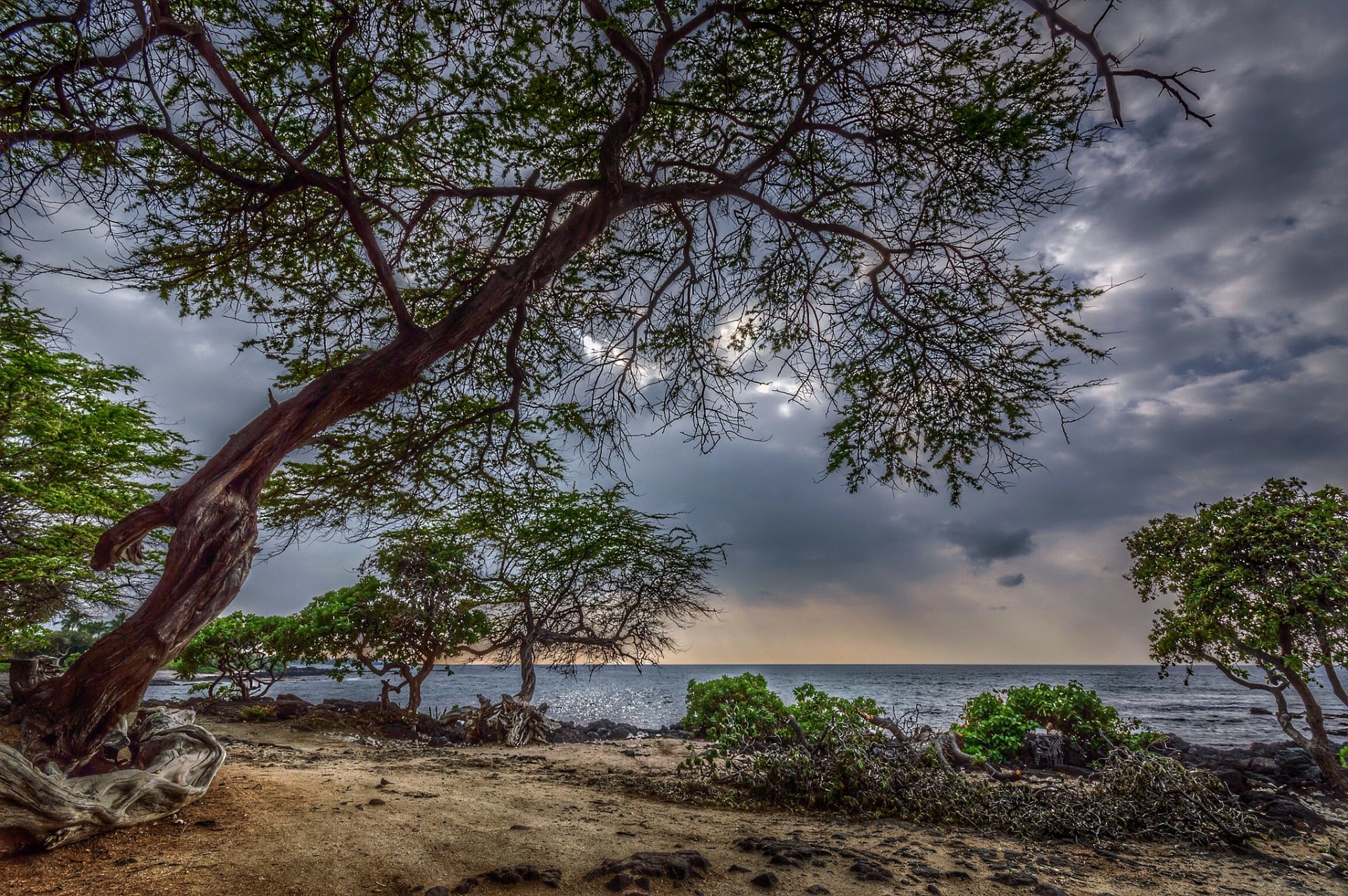 naturaleza paisaje árboles hojas mar cielo nubes