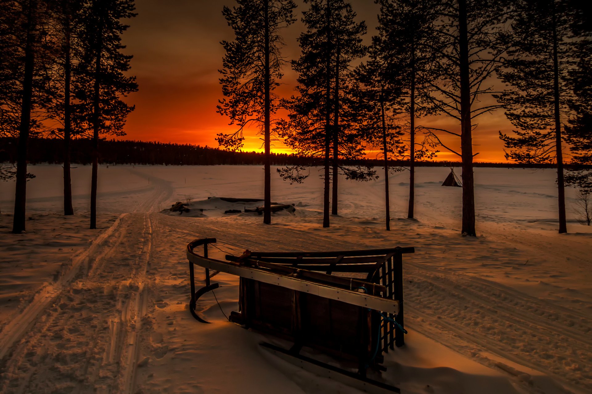 winter snow sledge forest sledding sunset