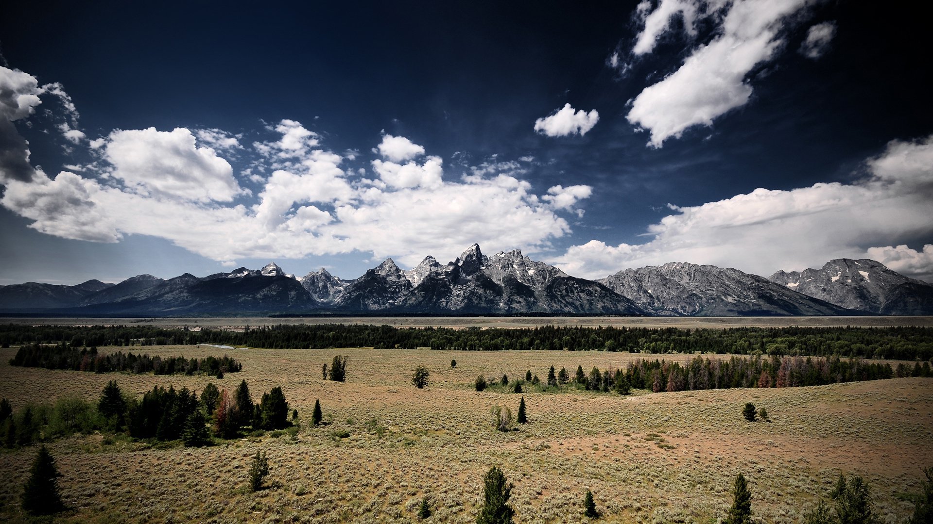 natur gras berge grün