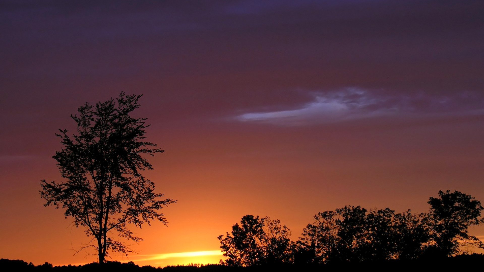 cielo nuvole tramonto orizzonte albero silhouette