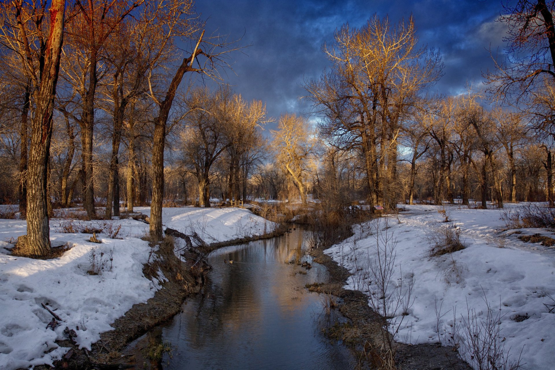 invierno bosque río nubes