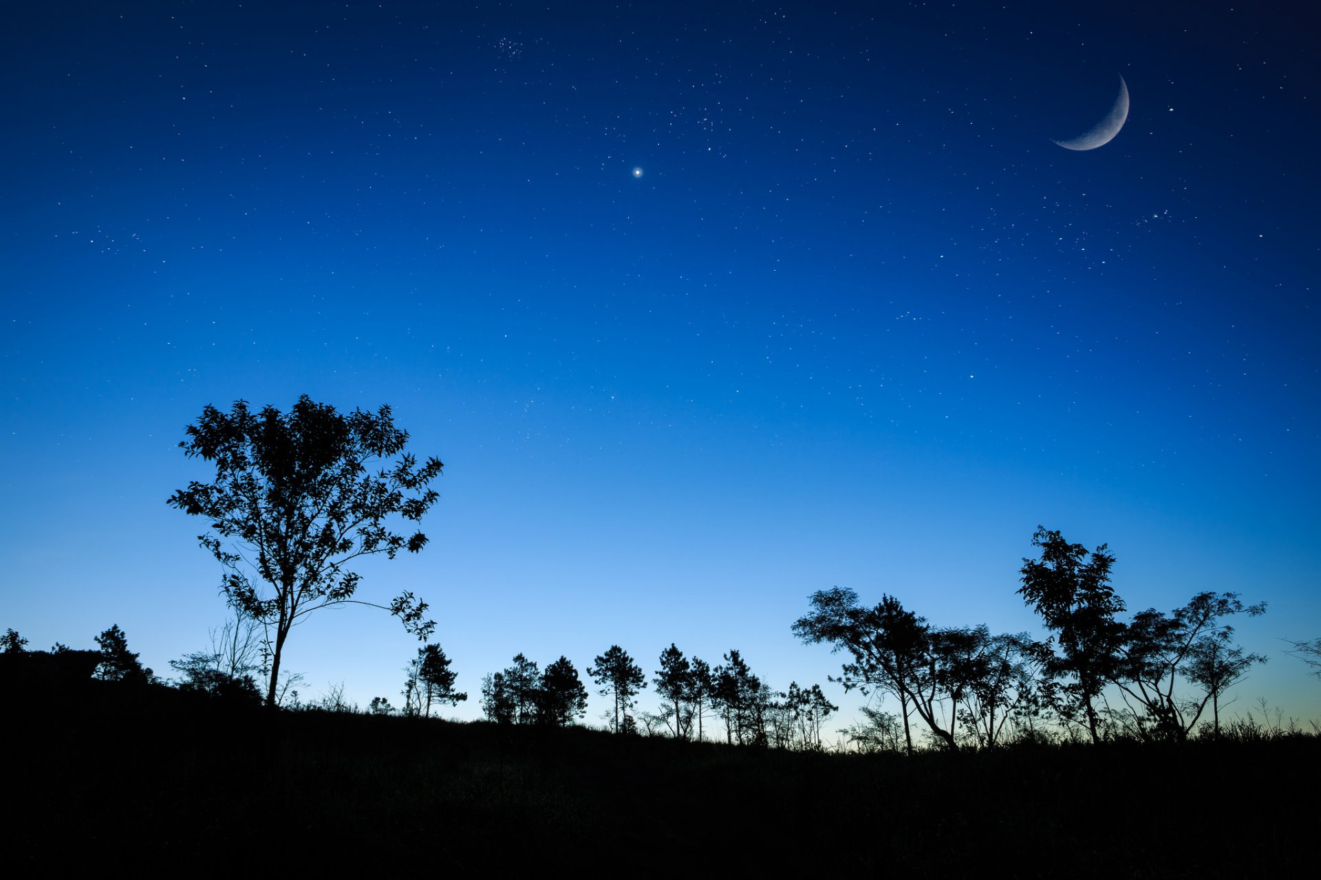 niebo noc gwiazdy księżyc trawa drzewa sylwetka