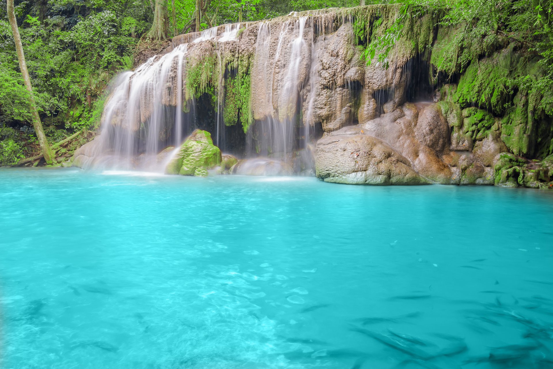 natur wald bäume fluss wasserfall blaues wasser