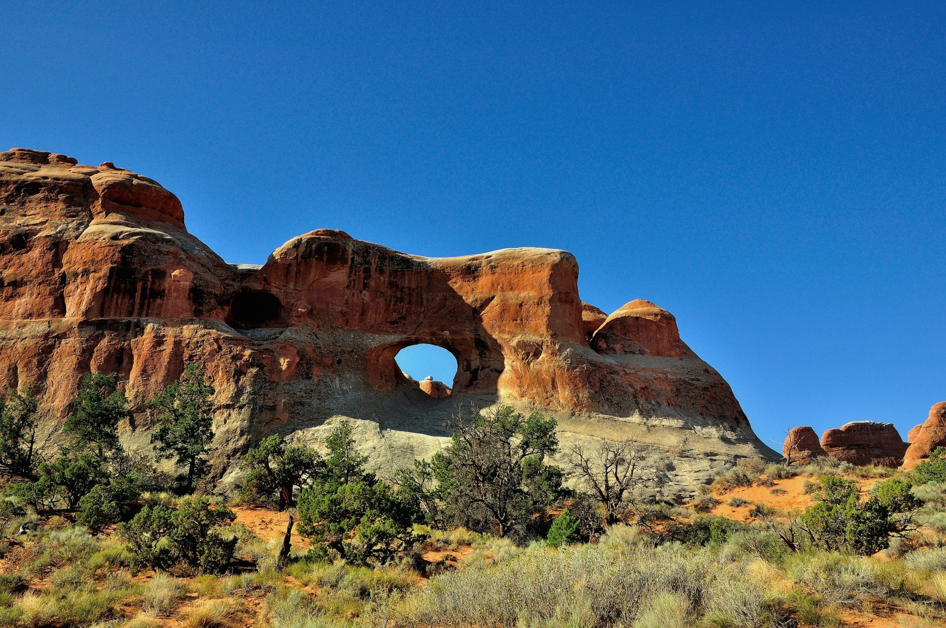 arches parc national usa roches arche ciel arbres buissons