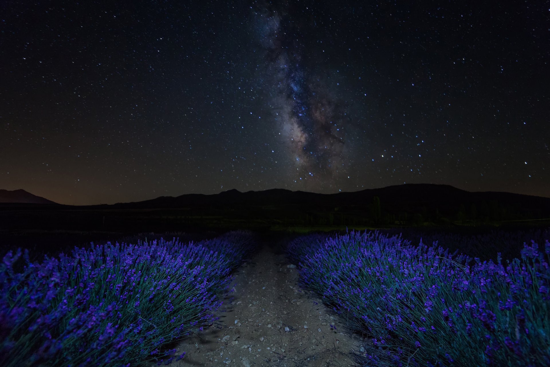 noche cielo estrellas montañas plantación flores lavanda