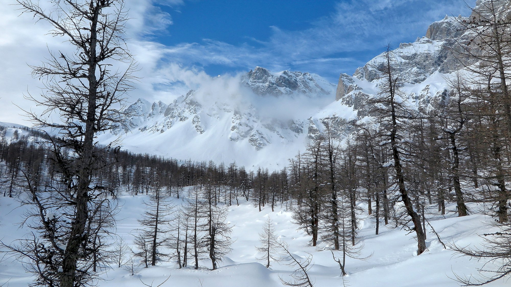 ciel montagnes hiver arbres neige paysage